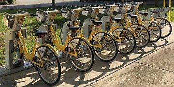 AvMed Rides Yellow Bikes