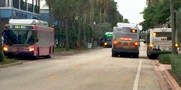 Traffic must pass through Playa del Mar Bus Gauntlet