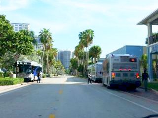 Five Broward County Transit Buses Swarm Playa del Mar