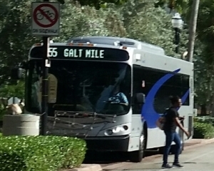 Route 55 Bus in Regency Tower Cutout