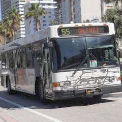 Route 55 Bus on Galt Ocean Drive