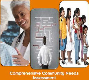 Click to newly commissioned Broward Needs Assessment