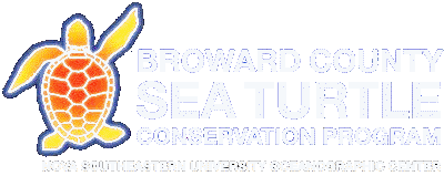 Click to Broward County Sea Turtle Conservation Program Website