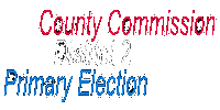 Click to Broward District 2 Primary Results