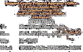 Click to Broward County Revenue Collection Division