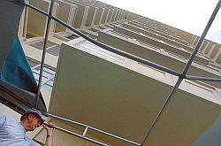 The cut canopy that broke Gloria Jummati’s fall