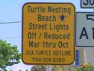 Sign Warning that A1A Street Lights are off