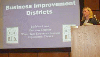 Assistant City Manager Kathleen Gunn was formerly the Executive Director of the White Plains Downtown Business Improvement District