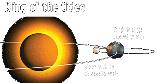 Click to King Tide Web Page