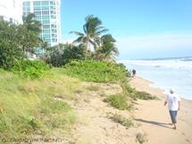 Post-Sandy Beach Erosion