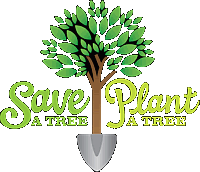 Click Here to Fort Lauderdale Save-A-Tree Web Page