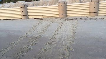 Tracks of Turtle Blocked by Seawall