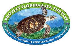 Florida Fish and Wildlife Conservation Commission Sea Turtle Program - Click to Web Site