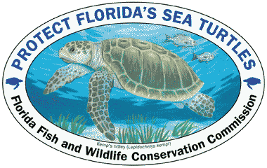 Florida Fish and Wildlife Conservation Commission Sea Turtle Program - Click to Web Site