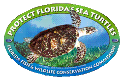 Florida Fish and Wildlife Conservation Commission Sea Turtle Program - Click to Web Site