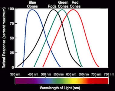 Both the color (wavelength) and relative brightness of light sources impact human response