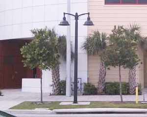 Turtle Friendly Lamp at A1A Fire-Rescue Station