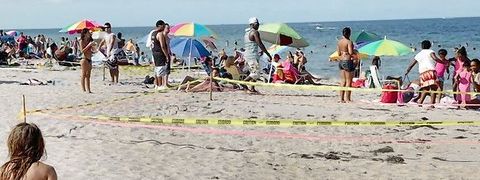 King Size Turtle Nest on Fort Lauderdale Beach