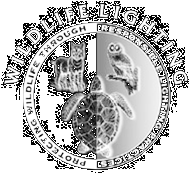 Click to FWC Turtle Lighting Web Page