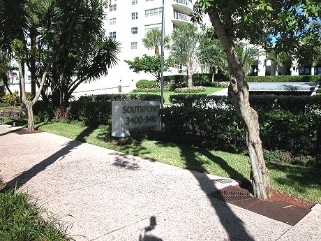 Green Buttonwoods in front of Southpoint