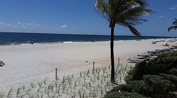 Renourished Regency Tower Beach - and Dunes with Sea Oats