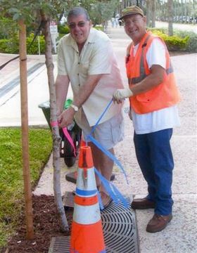 José “Chepo” Vega ties off tree