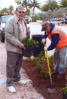 Jos Plants Sidewalk Beds