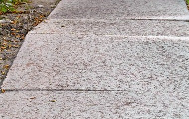 Dislodged Aggregate Panel Raised by Roots