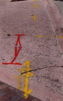 Utility Markings in front of Ocean Club Condominium