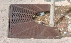 Unstable Tree Grate Packed with Mulch