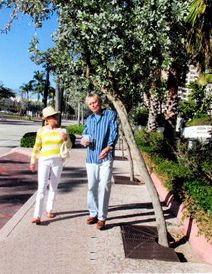 Buttonwood blocking Pedestrians