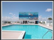 Ocean Club Roof Pool