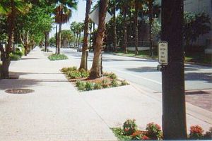 Galt Ocean Drive Sidewalk Beds