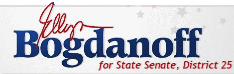 Click Here to Ellyn Bogdanoff for State Senator