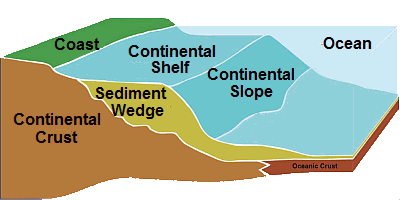 Click to Florida Shelf System