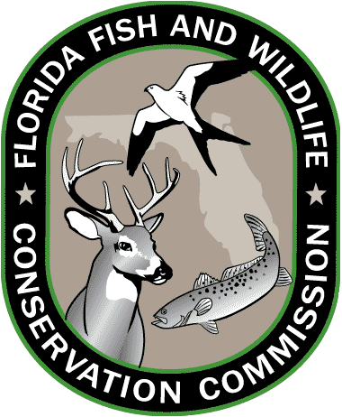 Florida Fish and Wildlife Conservation Commission Sea Turtle Program - Click to Web Site