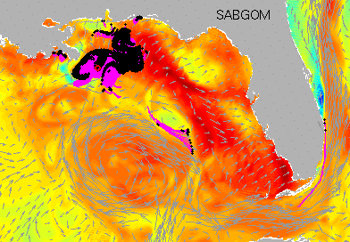 Click Here for Oil Spill Trajectory Forecast Animation