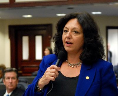 Representative Kathleen C. Passidomo Discusses Foreclosures on House Floor