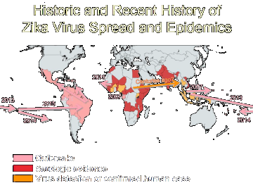 Click to Zika Worldwide