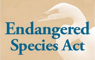 Click to Endangered Species Act