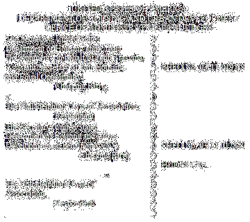 Click Here to the HUD v. Philadelphian Owners Association case