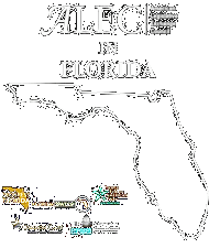 Common Cause - ALEC in Florida