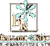 Click to Ballard*King and Associates website